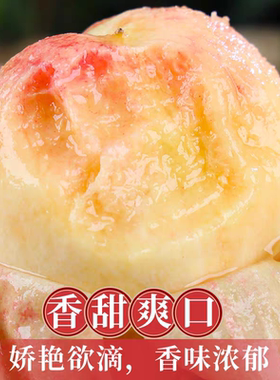 应季现摘水蜜桃新鲜水果软甜多汁露天无公害顺丰（6月8号开园首发