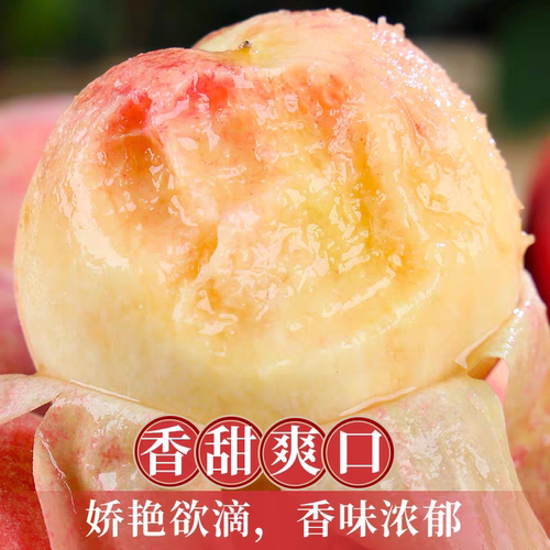 应季现摘水蜜桃新鲜水果软甜多汁露天无公害顺丰（6月8号开园首发