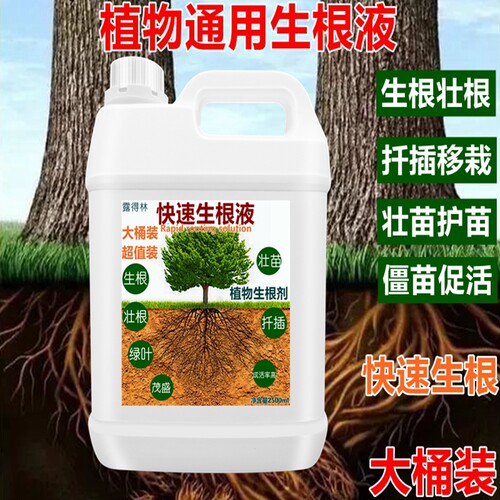 强力生根液生根水营养液生根专用肥扦插生根原液生根灵生根王肥料