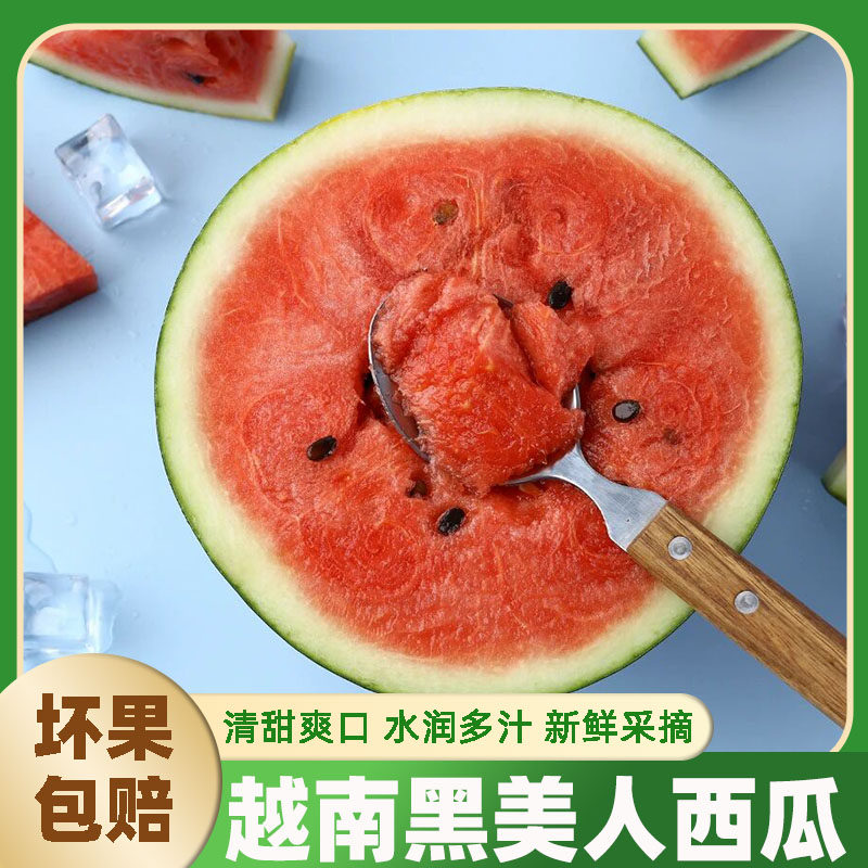 【包熟包甜】正宗越南黑美人西瓜沙甜多汁热带水果新鲜应季整箱,水产肉类/新鲜蔬果/熟食,西瓜,淘宝优惠券,粉丝福利购,淘宝优惠卷