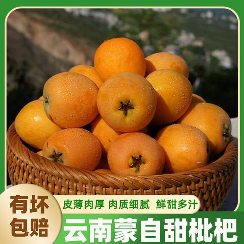 云南蒙自头茬当季多汁老树枇杷