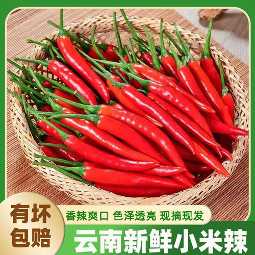 云南建水小米椒新鲜微辣包邮