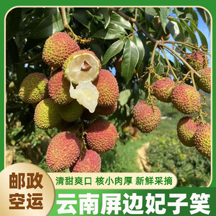 【特惠10斤装】云南屏边新鲜荔枝妃子笑当季水果鲜荔枝核小肉厚