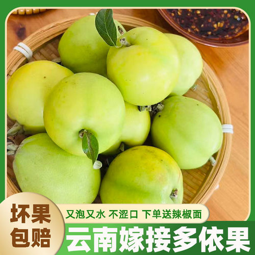 云南澜沧嫁接新鲜野生多依果