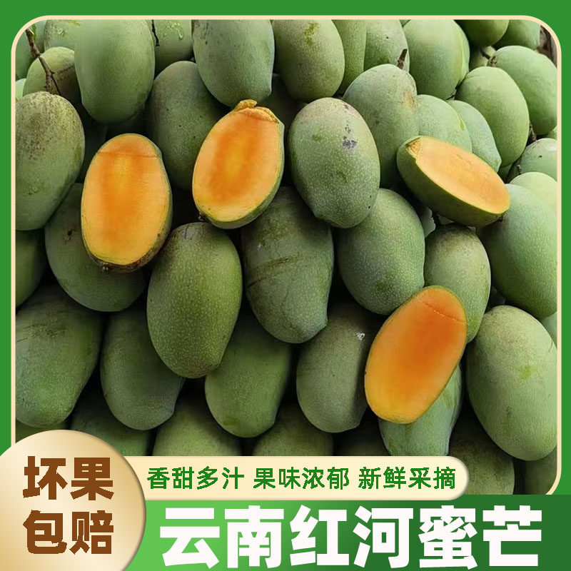 云南红河本地老树蜜芒新鲜水果老少皆宜新鲜芒果果味十足蜜甜多汁