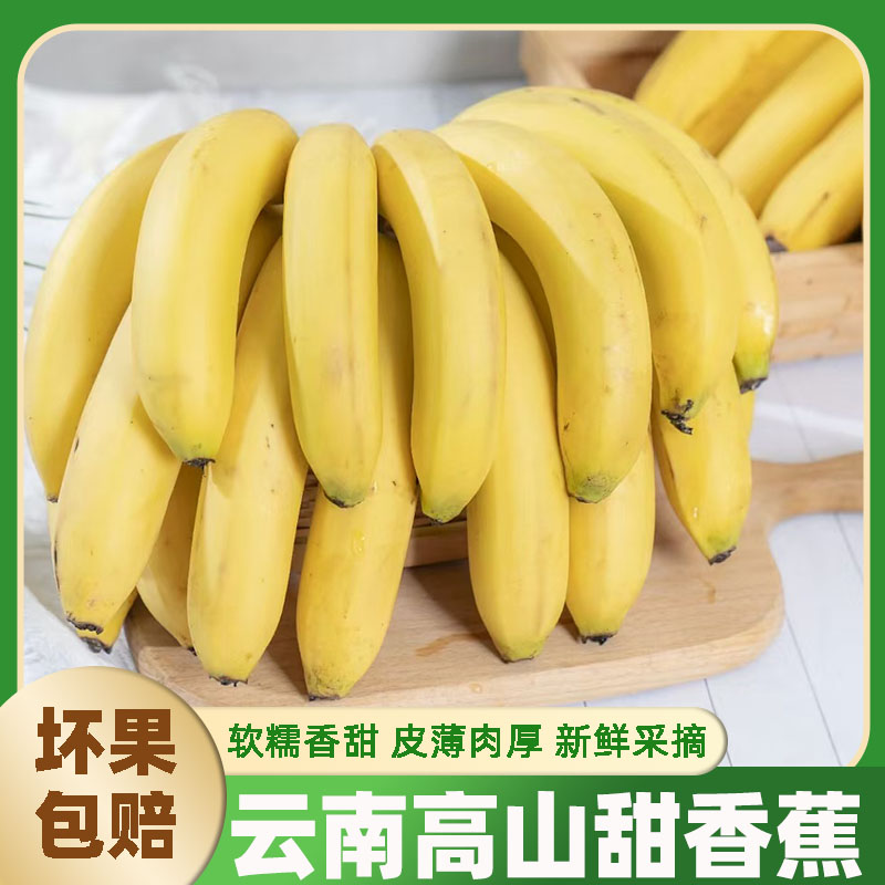 云南高山薄皮香蕉现摘直发绿皮