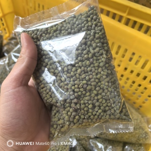 本地绿豆灌阳新圩农家绿豆汤绿豆粥2024新货