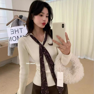 韩系气质V领温柔毛衣女2026秋冬新款内搭打底针织衫长袖显瘦上衣