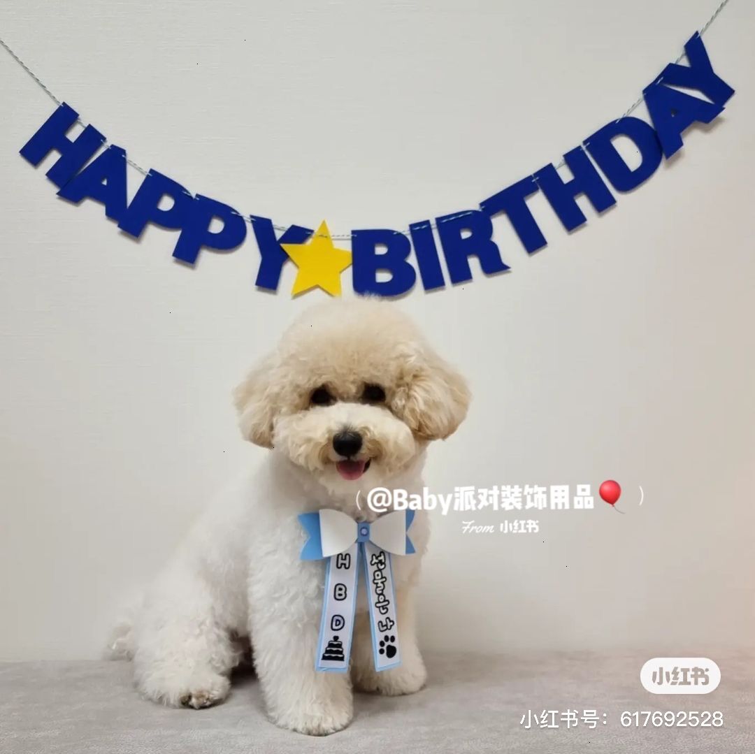 蓝色生日字母拉旗宠物狗配饰公仔礼物网红男朋友惊喜装饰场景布置