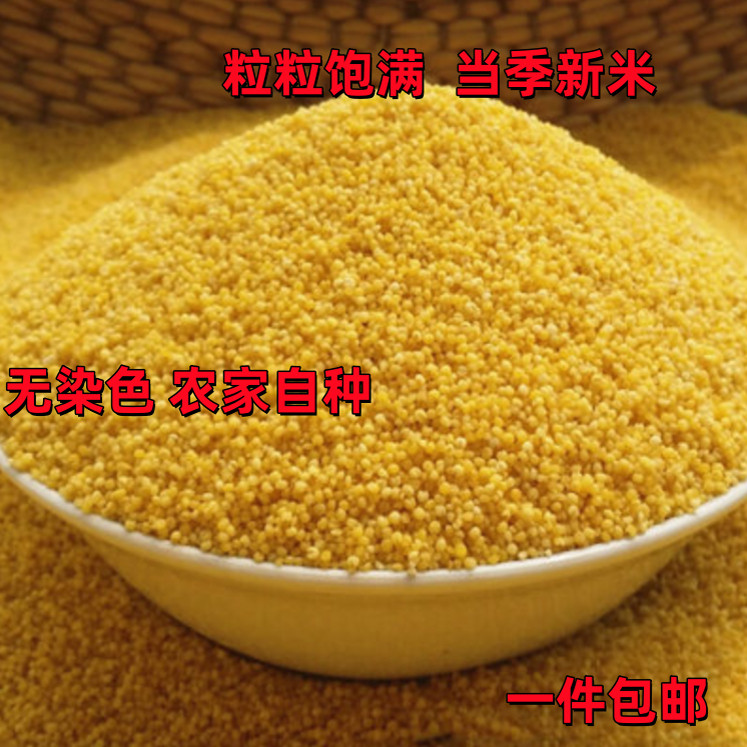 新米小米黄小米小黄米 去皮谷子 五谷杂粮早餐 粉糯易煮一件包邮,粮油调味/速食/干货/烘焙,小米,淘宝优惠券,粉丝福利购,淘宝优惠卷