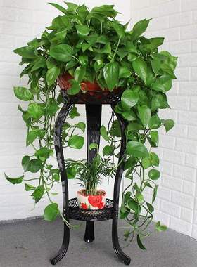 摆件客厅电视柜落地两边旁边沙发办公室绿植大件欧式家居摆设装饰