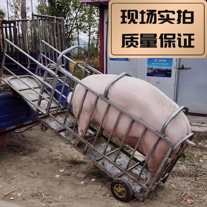猪笼子猪场用运猪笼肥猪转猪推车设备称猪笼装车称重拉母猪装猪车