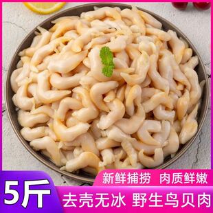 鸟贝肉特大号鲜活现剥冷冻新鲜白鸟贝肉野生去壳金钩鸟贝海鲜顺丰