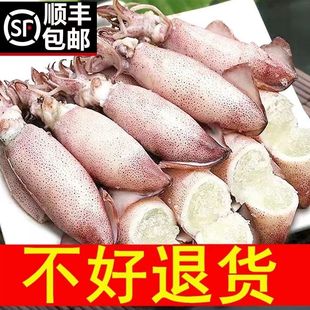 满籽籽乌全籽带籽新鲜笔管鱼小墨鱼鱿鱼满籽海兔子海鲜无沙小海兔