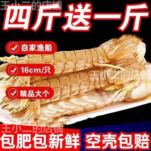 皮皮虾鲜活全公母超大号虾姑爬爬虾撒尿虾带膏虾爬子特大公虾海鲜
