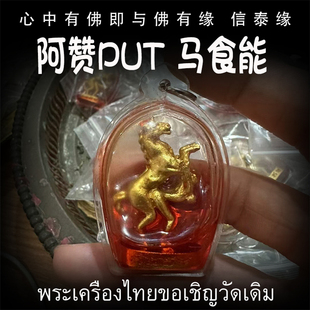 亚克力防水外壳 泰国佛牌 花草油 马食能 男女吊坠 阿赞put