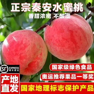 甘肃秦安水蜜桃子新鲜水果现摘应季脆甜离核桃礼盒装北京七号