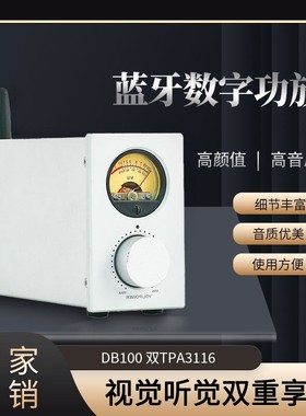 DB100 双芯TPA3116双声道大功率HiFi蓝牙5.1数字功放100W*2表头VU