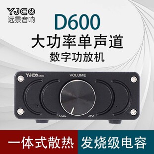 D600  TPA3255单声道600W大功率HIFI发烧功放 家用数字音响放大器