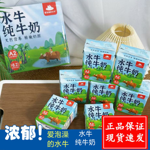 爱泡澡的水牛纯牛奶200ml*10盒