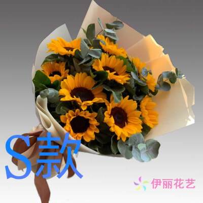生日祝寿康乃馨河北张家口花店送花尚义县蔚县阳原县同城鲜花快递