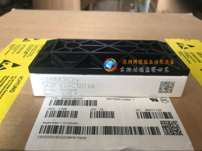 SKIIP83AC12IT46 SKIIP82AC12IT1 SKIIP83AC12IT1