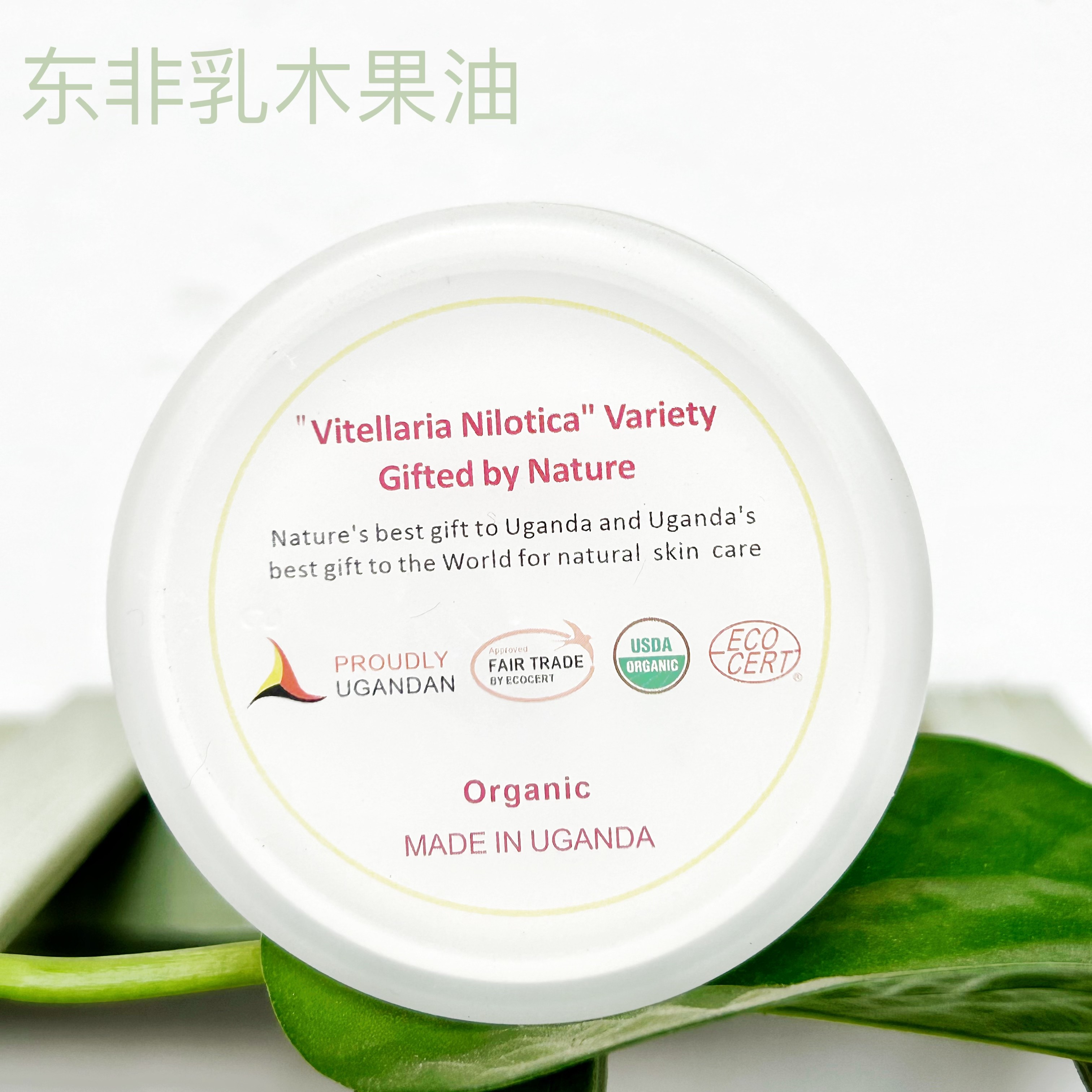 东非原装进口天然未精制乳木果油脂滋润紧致修复保湿皱纹100ML