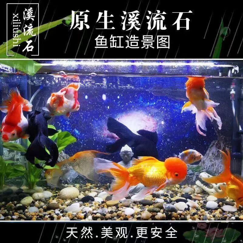鱼缸造景石子天然河沙溪流沙大矶砂原生态装饰水族箱水草缸底砂石