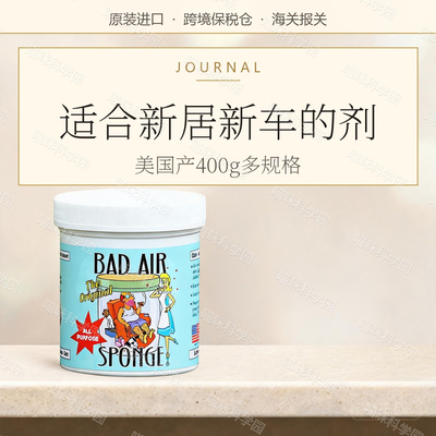 美国BadAir Sponge甲醛装修汽车异味空气净化剂400g  多规格