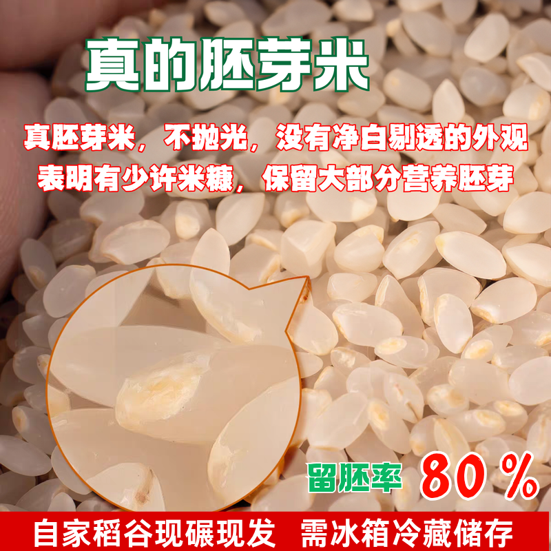胚芽米新鲜东北大米现磨圆粒香晚粳米熬米油煮粥辅食老品种农家米