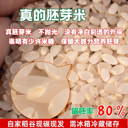 胚芽米新鲜东北大米现磨圆粒香晚粳米熬米油煮粥辅食老品种农家米
