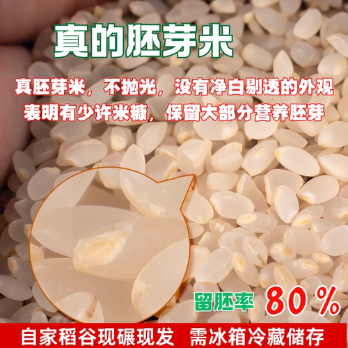 胚芽米新鲜东北大米现磨圆粒香晚粳米熬米油煮粥辅食老品种农家米