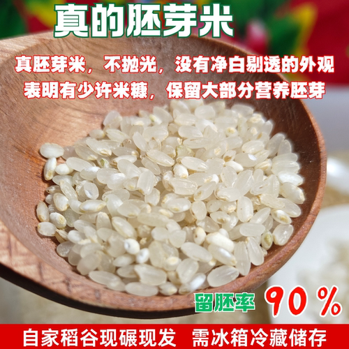 胚芽米新鲜东北大米现磨圆粒香晚粳米熬米油煮粥辅食老品种农家米