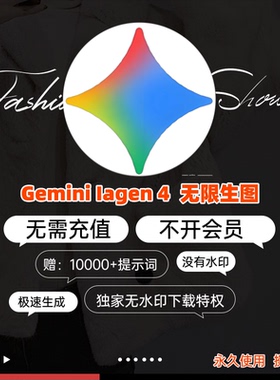 谷歌Gemini 无限会员出图即梦海螺Mj 绘图不限量文生图ai视频生成