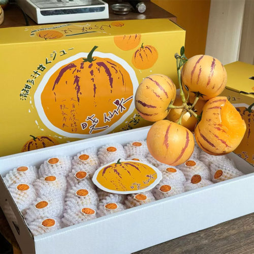 晓仙果5斤果王树熟新鲜人参果节日送礼新鲜水果香甜多汁树上熟
