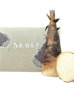 可生吃阳春甜龙笋半坡阳光5斤