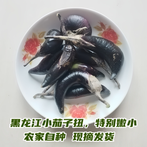 黑龙江农家小茄子纽农家现摘现发