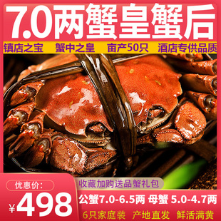 活蟹现货大闸蟹鲜活大公蟹7两全母蟹5两螃蟹清水湖蟹送礼蟹皇蟹后