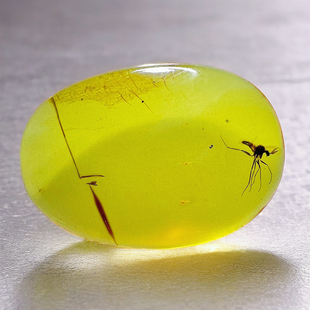 新款缅甸纯天然蜜蜡虫珀原矿白垩纪蚊子蜜蜂昆虫琥珀吊坠项链真品