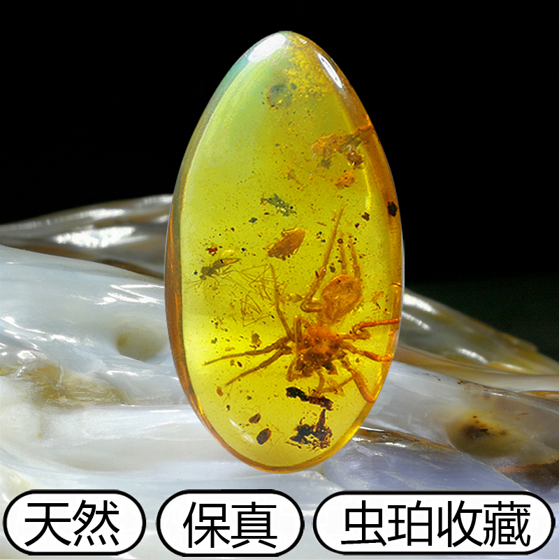纯天然缅甸真琥珀蜜蜡吊坠虫珀蜘蛛蜜蜂水胆植物昆虫标本化石项链