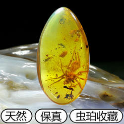 纯天然缅甸真琥珀蜜蜡吊坠虫珀蜘蛛蜜蜂水胆植物昆虫标本化石项链