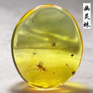 纯天然缅甸真琥珀蜜蜡原石虫珀蜘蛛幽灵蛛收藏级昆虫化石标本吊坠