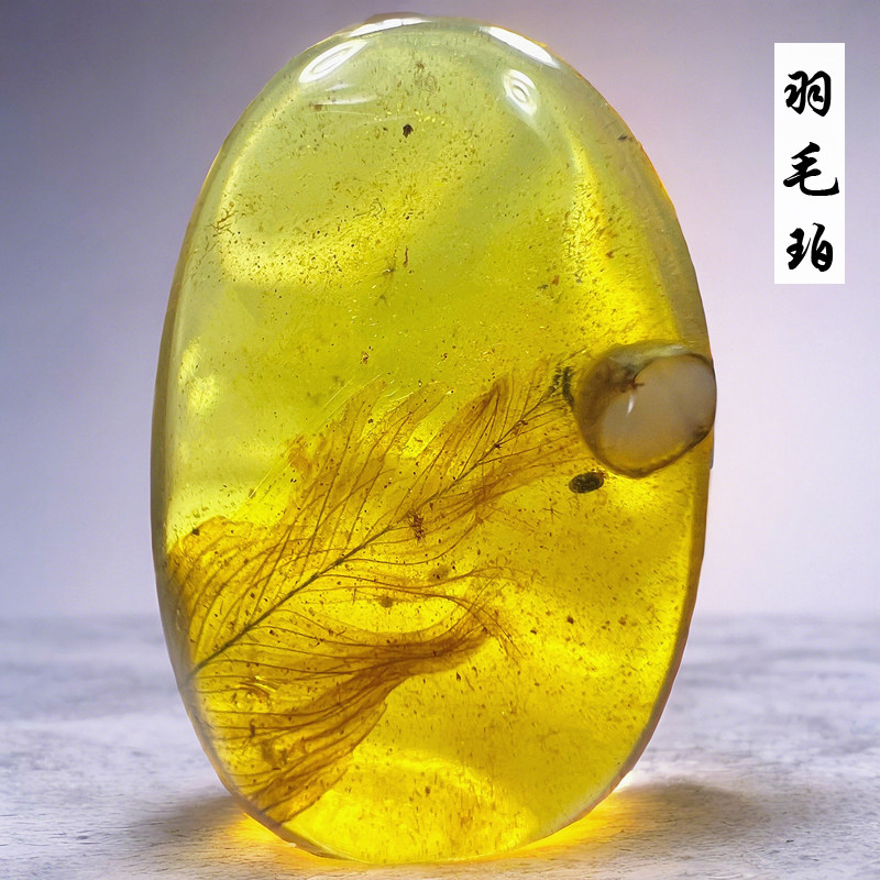 原矿纯天然缅甸蜜蜡虫珀昆虫琥珀三叠侏罗纪恐龙羽毛动物化石标本