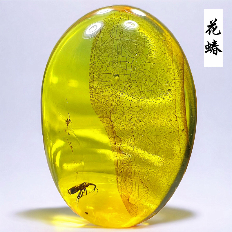 新款缅甸纯天然花蝽虫珀白垩纪水胆昆虫植物树叶化石标本琥珀吊坠