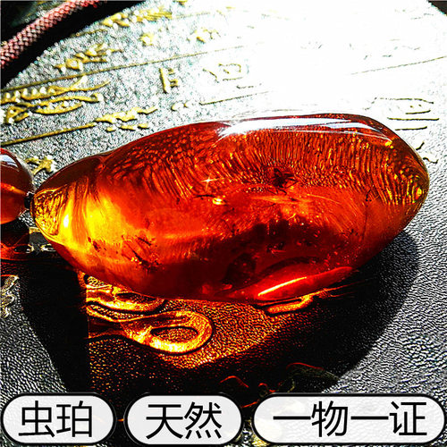 纯天然琥珀虫珀昆虫化石吊坠项链