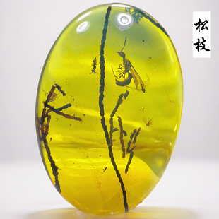 缅甸纯天然老蜜蜡松枝琥珀蜜蜂虫珀化石吊坠项链植物昆虫标本收藏