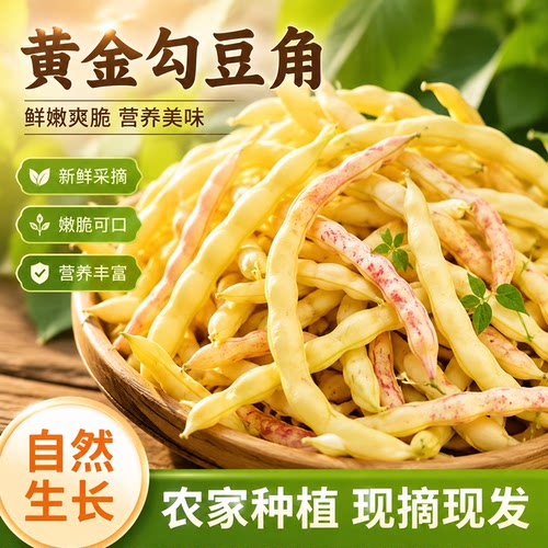黄金勾豆角勾勾黄新鲜蔬菜
