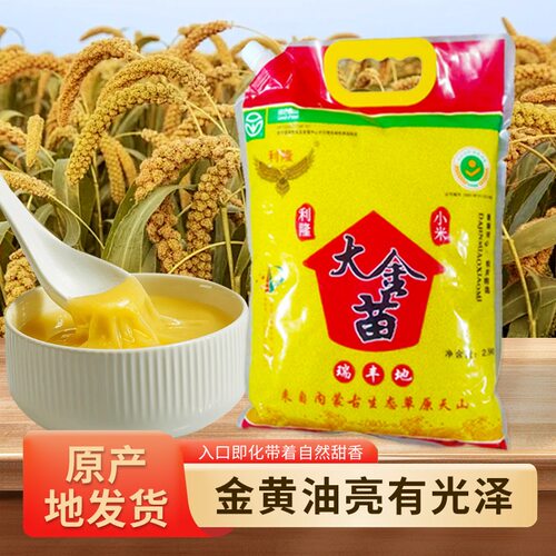 当季新米内蒙古赤峰大金苗黄小米5斤农家软糯黄小米养胃粥米油