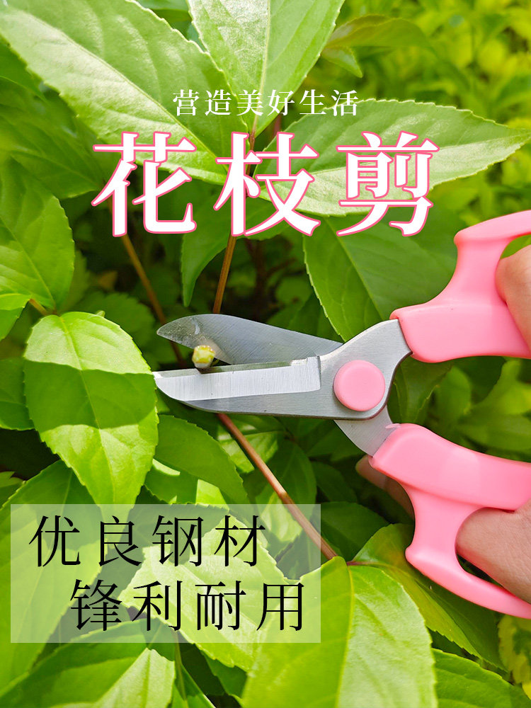 장 XIAOQUAN 원예 가위 가정용 꽃집 포도 야채 및 과일 가위 정원 꽃 가위 가정용 강력한 가위