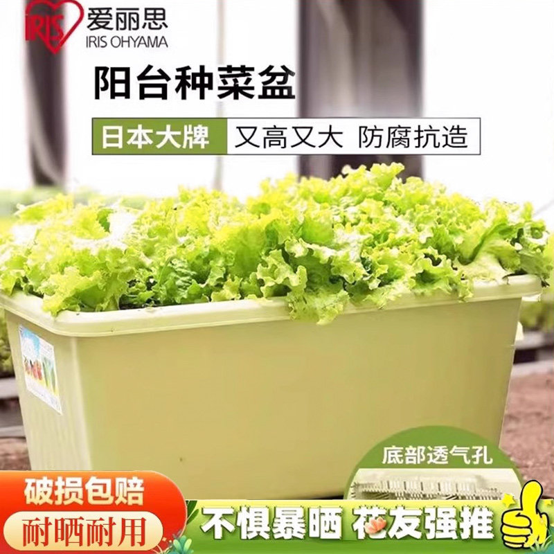 IRIS花盆家庭菜园阳台种菜深型种植盆长方形塑料种植箱蔬菜长盆
